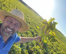 Paraná se destaca no melhoramento genético do feijão e garante maior produtividade