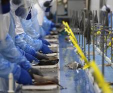 Com taxa de 5,4%, Paraná segue com um dos menores índices de desemprego do País
