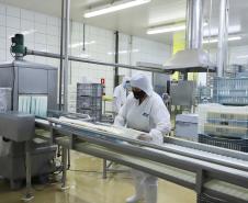 Com taxa de 5,4%, Paraná segue com um dos menores índices de desemprego do País
