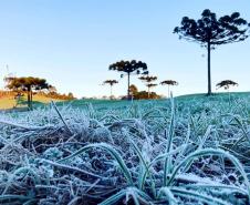 Com a chegada do inverno, Saúde alerta sobre os cuidados contra as Síndromes Gripais
