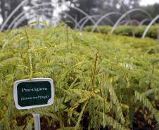 Paraná ativa Fórum de Mudanças Climáticas e abre consulta para política sobre biodiversidade