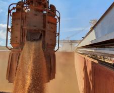 Paraná bate recorde de exportações em um primeiro semestre: US$ 12,1 bilhões