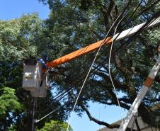 Centenas de profissionais da Copel trabalham para restabelecer energia no Paraná