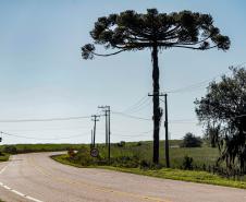 Lote 1 vai modernizar conexões de Araucária, Porto Amazonas, Campo Largo e Lapa, na RMC