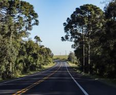 Lote 1 da nova concessão terá 156 km de duplicação na BR-277, entre Curitiba e Prudentópolis