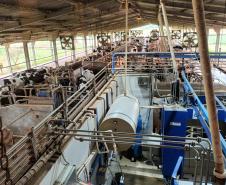 Ministro da Agricultura anuncia compra de leite de cooperativas em visita a Castro