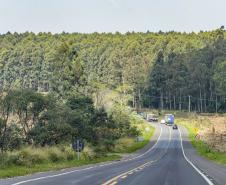 Lote 2 terá 71,5 km de duplicações e 35 viadutos entre Ponta Grossa e Sengés