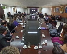 Comissão do Paraná discute políticas antimanicomiais com representantes do CNJ