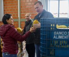 Arrecadação de alimentos na Ceasa Curitiba supera expectativa e chega a 33 toneladas