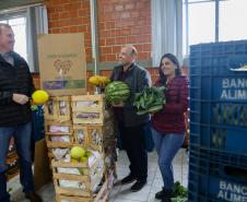 Arrecadação de alimentos na Ceasa Curitiba supera expectativa e chega a 33 toneladas