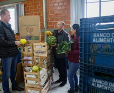 Arrecadação de alimentos na Ceasa Curitiba supera expectativa e chega a 33 toneladas
