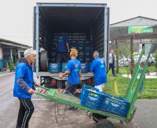 Estado mobiliza doação de 8 toneladas de frango por cooperativas; Defesa Civil entrega cestas básicas