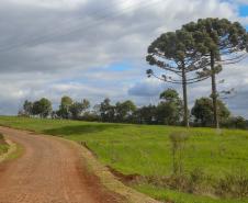 Chuvas: Estado inicia liberação de R$ 30 milhões para recuperação de estradas rurais