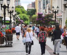 Estado libera R$ 25,6 milhões em créditos do Programa Nota Paraná nesta sexta-feira