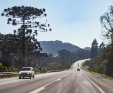 Concessionária que arrematou o Lote 1 das rodovias vai contratar 682 funcionários