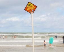 Mil pulseirinhas de identificação foram distribuídas por dia no Litoral desde o início do verão