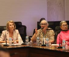 Reuniao do Comite de enfrentamento a Dengue no Palacio Iguacu, nesta quarta-feira (28).