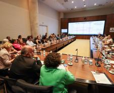 Reuniao do Comite de enfrentamento a Dengue no Palacio Iguacu, nesta quarta-feira (28).