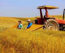 Paraná teve o maior crescimento da atividade econômica do Brasil em 2023