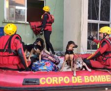 Com 104 agentes e muita tecnologia, forças de segurança do PR seguem apoiando o RS