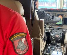 Cães e bombeiros do Paraná embarcam para o RS para ajudar em buscas por vítimas
