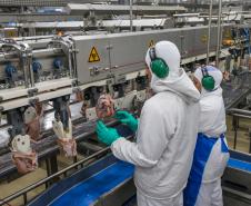 Fábricas viabilizadas pelo Paraná Competitivo em 2023 adicionam R$ 1,5 bilhão ao PIB