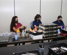 Saldo de empregos para jovens avança 45% no Paraná no primeiro quadrimestre
