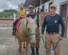 Terapia com cavalos oferecida pela PMPR colabora na qualidade de vida de pessoas com deficiência