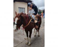 Terapia com cavalos oferecida pela PMPR colabora na qualidade de vida de pessoas com deficiência