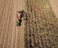 VBP Agropecuário do Paraná cresce 11% em 2023 e alcança R$ 197,8 bilhões