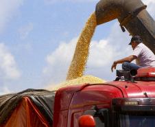 VBP Agropecuário do Paraná cresce 11% em 2023 e alcança R$ 197,8 bilhões