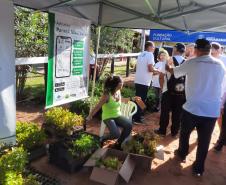 No Dia Mundial do Meio Ambiente, Paraná alcança 9,8 milhões de mudas distribuídas desde 2019.