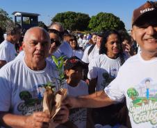 No Dia Mundial do Meio Ambiente, Paraná alcança 9,8 milhões de mudas distribuídas desde 2019.