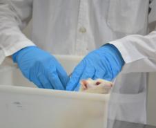 Pesquisa da Unicentro resulta num fármaco com nanopartículas para o tratamento de diabetes