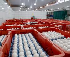 VBP Agropecuário do Paraná cresce 11% em 2023 e alcança R$ 197,8 bilhões