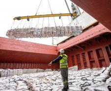 Importação cresce 14% nos portos paranaenses em 2024