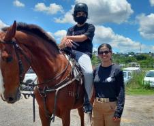 Terapia com cavalos oferecida pela PMPR colabora na qualidade de vida de pessoas com deficiência
