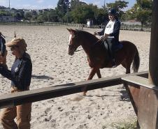 Terapia com cavalos oferecida pela PMPR colabora na qualidade de vida de pessoas com deficiência