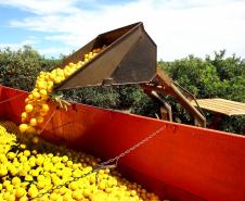 VBP Agropecuário do Paraná cresce 11% em 2023 e alcança R$ 197,8 bilhões