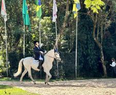 Terapia com cavalos oferecida pela PMPR colabora na qualidade de vida de pessoas com deficiência