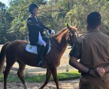 Terapia com cavalos oferecida pela PMPR colabora na qualidade de vida de pessoas com deficiência