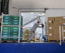 Saldo de empregos para jovens avança 45% no Paraná no primeiro quadrimestre