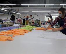 Com 43,1 mil empregos no ano, Paraná lidera ranking de empregabilidade feminina no Sul