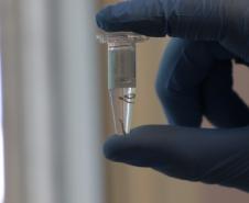 Biofábrica Wolbachia: Londrina e Foz do Iguaçu terão nova tecnologia de combate à dengue