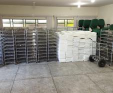 Biofábrica Wolbachia: Londrina e Foz do Iguaçu terão nova tecnologia de combate à dengue