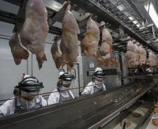 Paraná é principal porta de entrada para maior parte do arroz importado pelo Brasil