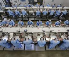 Com tilápia em alta, exportação paranaense de pescados cresceu 20% no 1º semestre de 2024