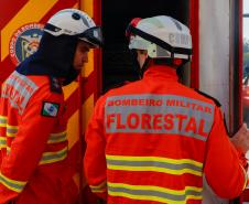 Paraná envia bombeiros para ajudar no combate a incêndios no Pantanal