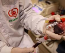 Com baixo estoque para sangues tipo O+ e O-, Paraná solicita doação de sangue