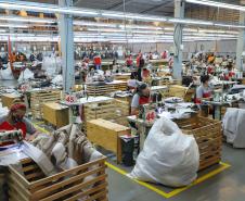Com meio milhão de empregos desde 2020, Paraná alcança 3,2 milhões de carteiras assinadas